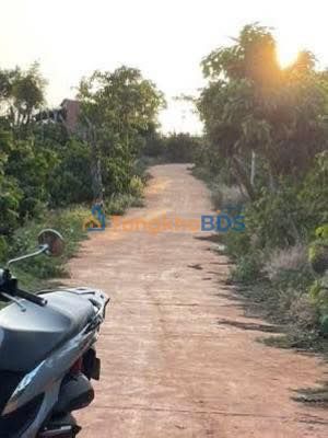 Đất nền Chư Sê 1.296m² 1,4 tỷ - Sổ đỏ chính chủ