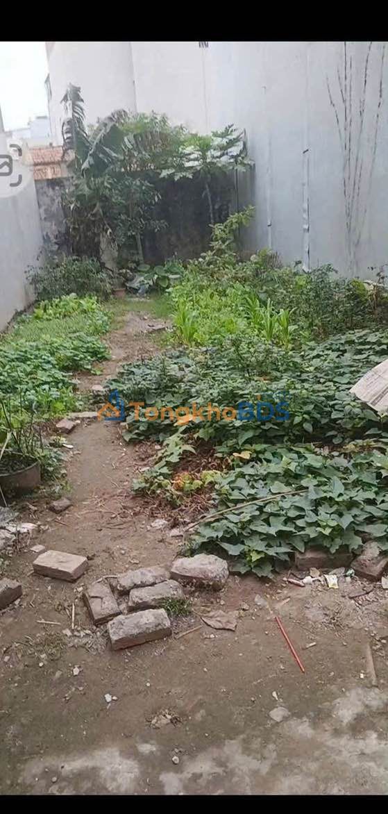 Đất nền Thượng Phúc Tả Thanh Oai 54m² 5 tỷ - Sổ đỏ chính chủ