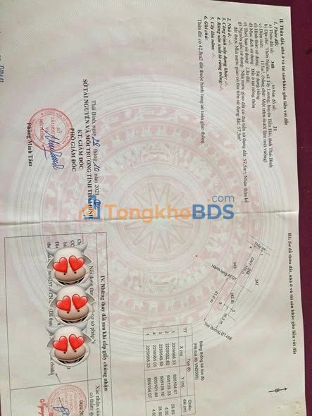 Đất nền Tây Lương Tiền Hải 115m² - Chính chủ bán gấp