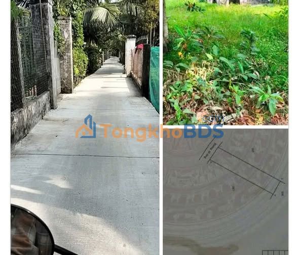 Đất nền Ấp Ô Mịt Cầu Kè 125m² 195 triệu - Đất thổ cư 100%