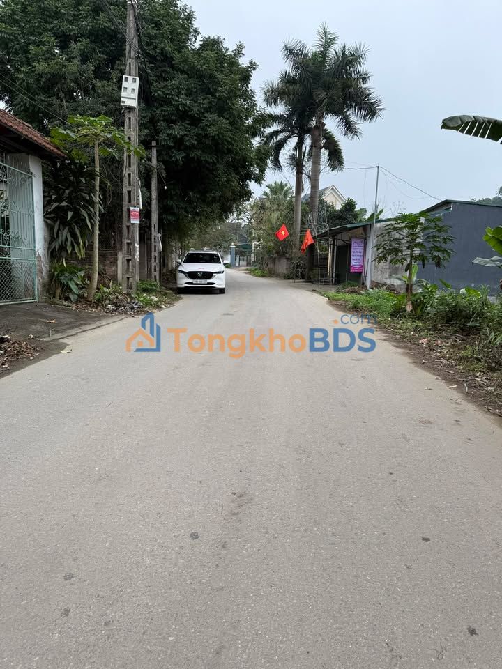 Đất nền Tứ Yên Sông Lô 100m² 1.5 tỷ - Đường to ô tô