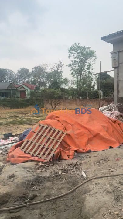 Đất nền Tam Dương Vĩnh Phúc 2400m² – Đường to ô tô rộng