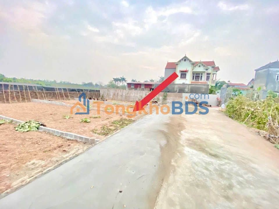 Đất nền Đan Kim Văn Giang 73m² 3.1 tỷ - Thổ cư 100%