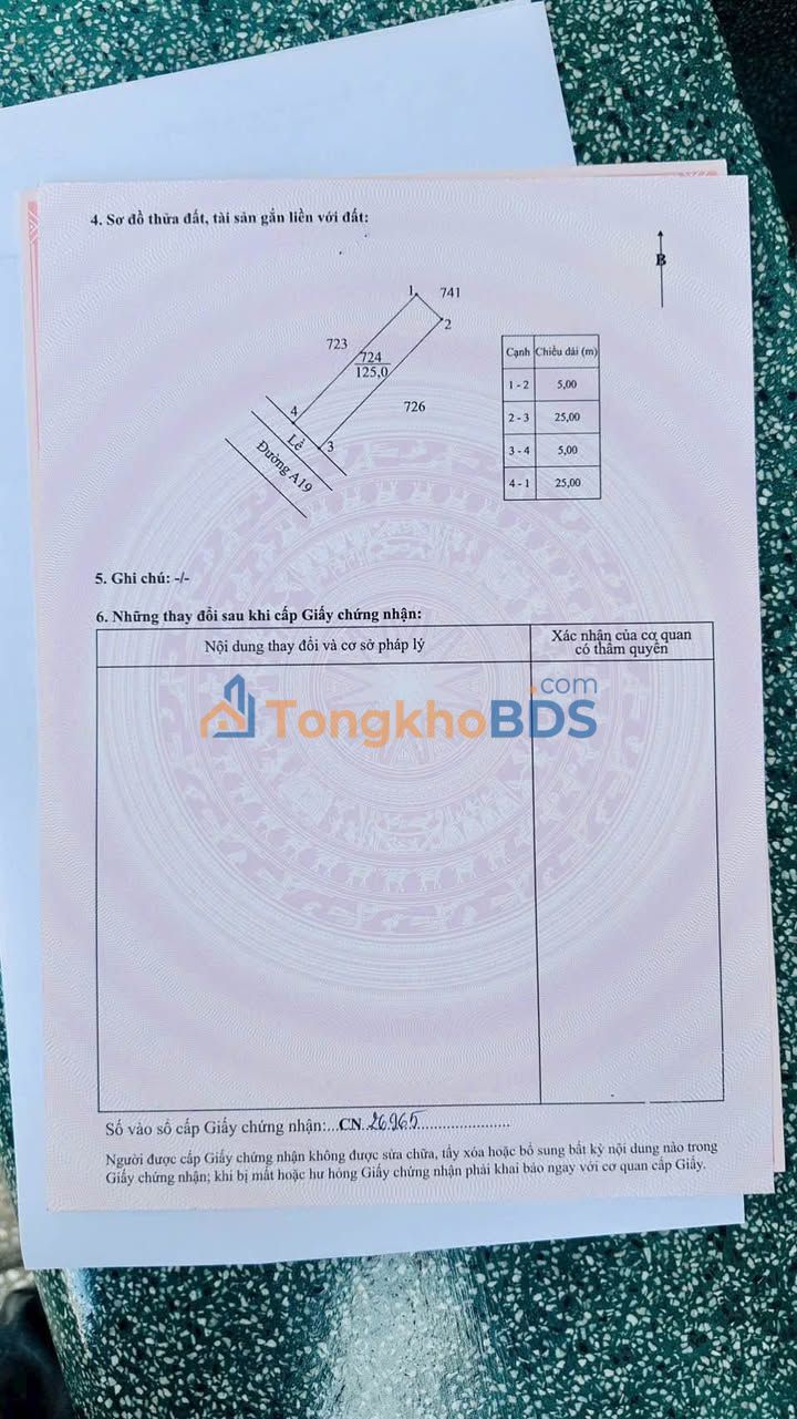 Đất nền Tân Đức Đức Hòa 250m² 3.006 tỷ - Sổ đỏ chính chủ