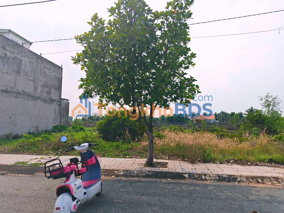 Đất nền Cát Tường Phú Sinh 64m² 899tr - Sổ hồng rõ ràng