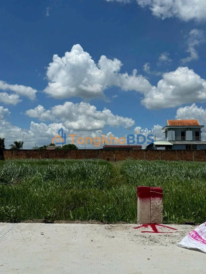 Đất nền Tân Bình Tân Trụ 125m² 570 triệu - Sổ đỏ chính chủ