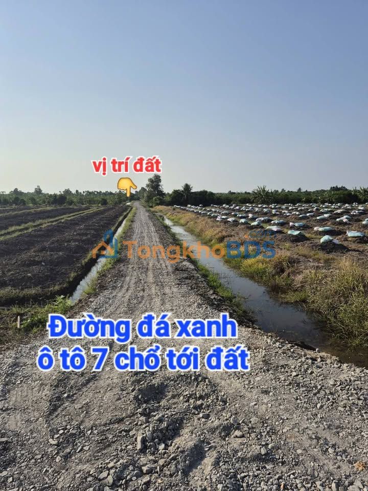 Đất vườn Tân Thành Thủ Thừa 500m²/270 triệu - Giá F0 CĐT