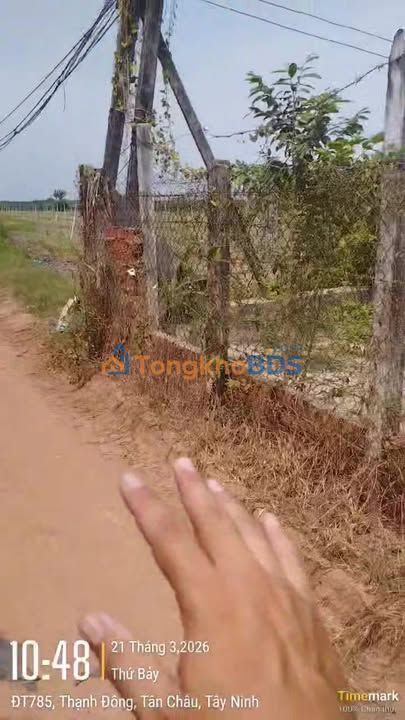 Đất nền Tây Ninh DT785 140m²/325tr - Đất thổ cư 100%