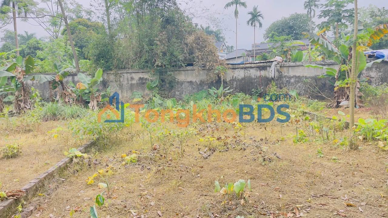 Đất nền Phú Cát Quốc Oai 93m² 3 tỷ - Tiềm năng tăng giá