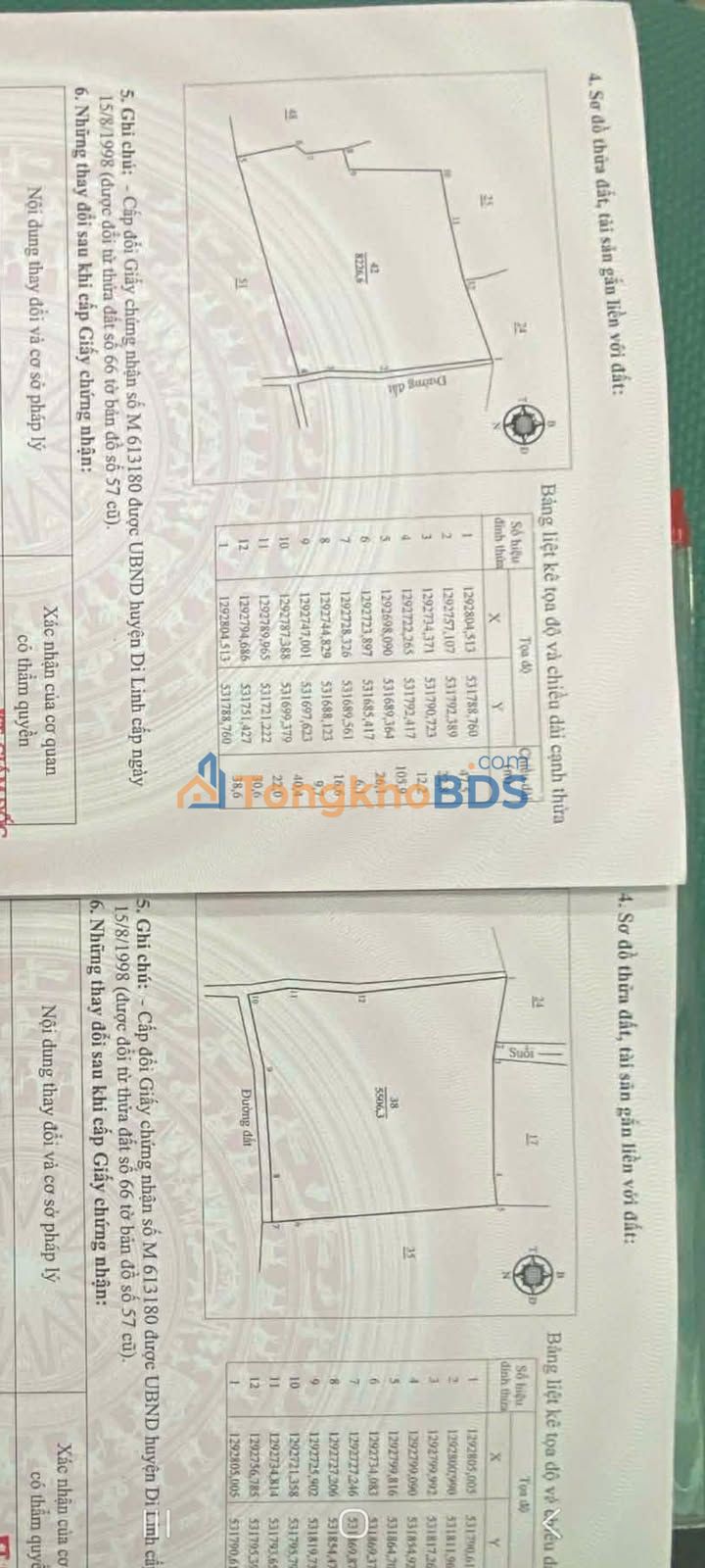 Đất nền Tân Thượng Di Linh 1,4ha giá 200tr/sào - Đường to ô tô