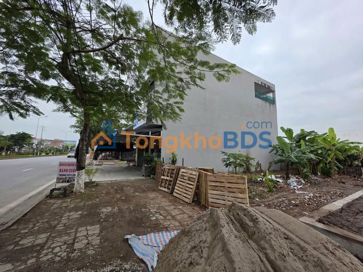 Mặt Tiền Kinh Doanh Rộng 12m Đường 353 Đồ Sơn - 220m² Sổ Đỏ Chính Chủ