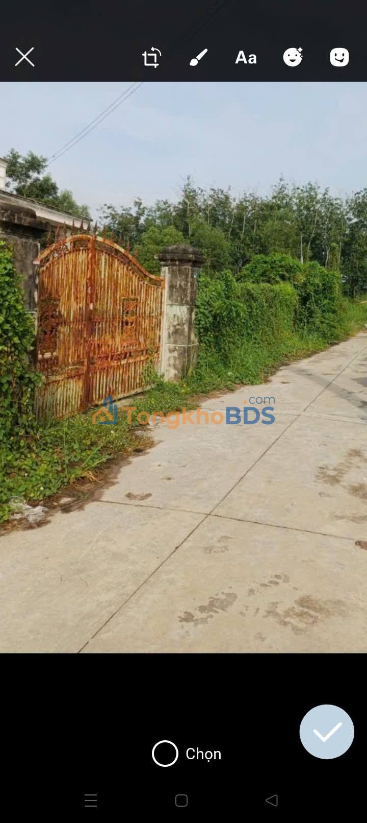 Đất nền Ninh Thạnh Tây Ninh 3.000m² 1,9 tỷ - Đất thổ cư 100%