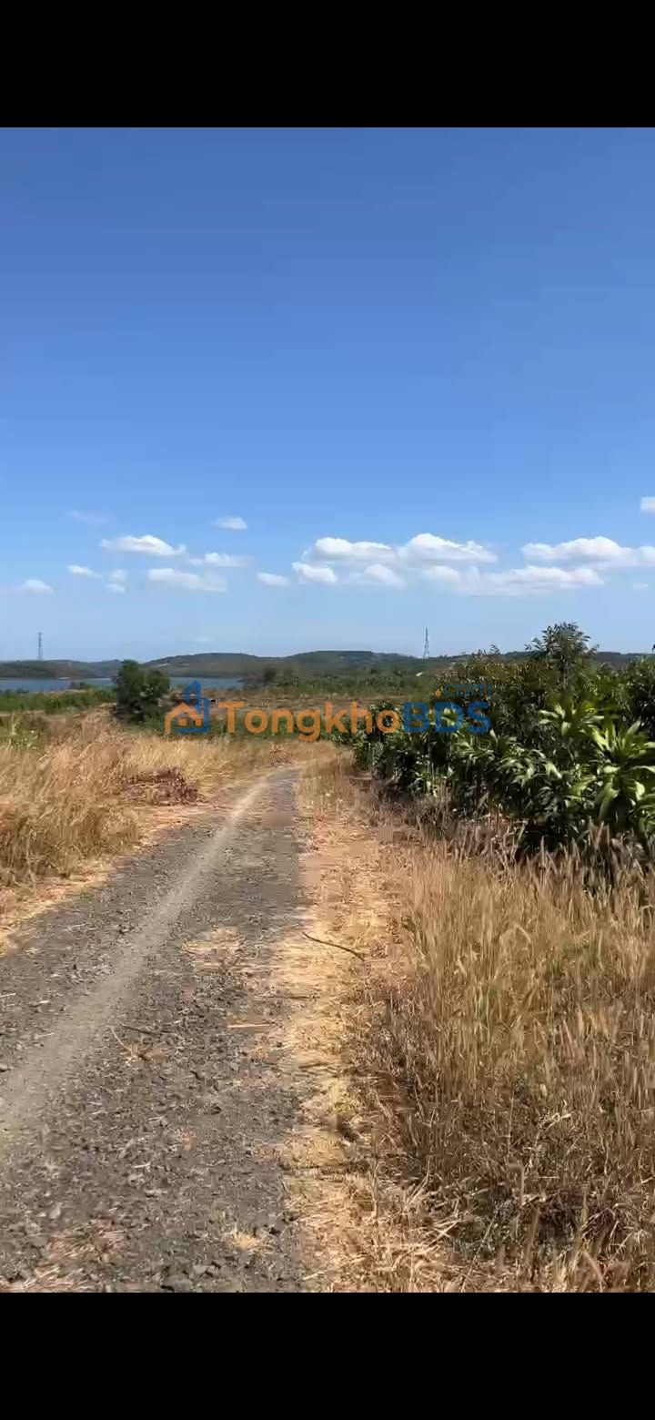 Đất nền Đức Liễu Bù Đăng 360m² 200 triệu - Thổ cư 100%