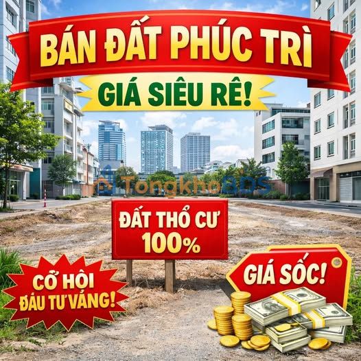 Đất nền Hoa Lư 90m² 4,1 tỷ - Sổ đỏ chính chủ