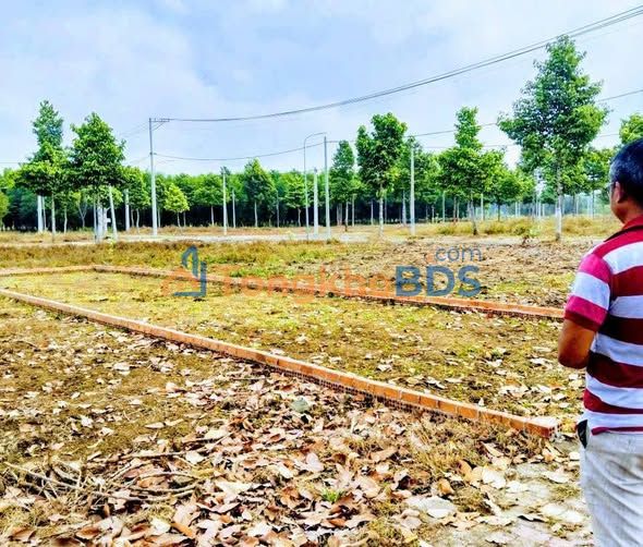 Đất nền Tam Phú Thủ Đức 100m² - Sổ đỏ chính chủ