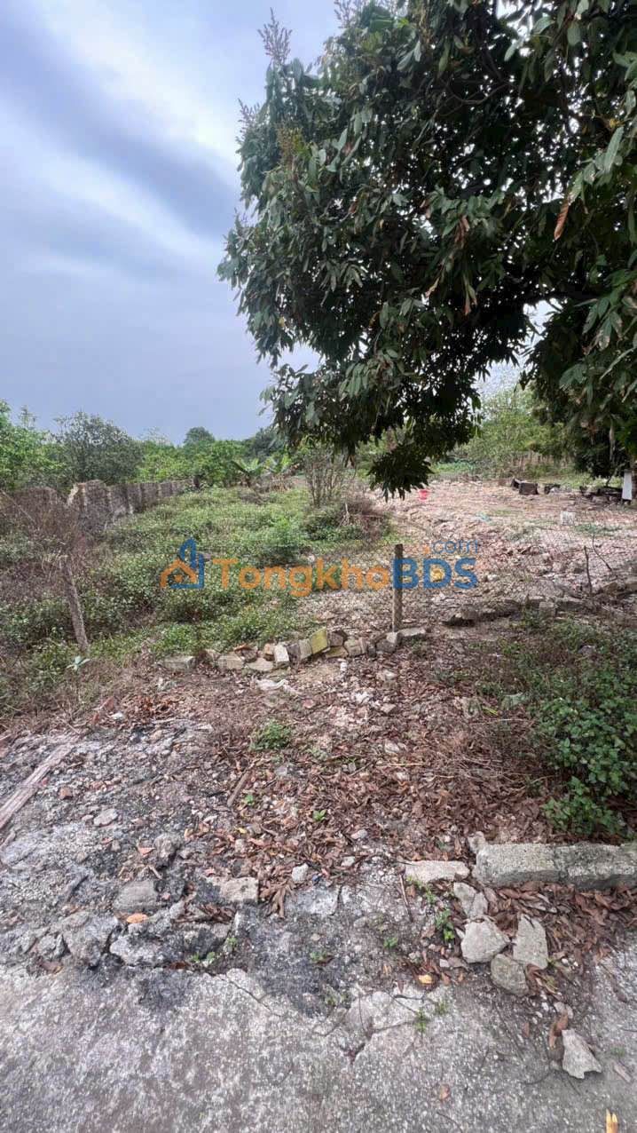 Đất nền Danh Thắng Sóc Sơn 135m² 700 triệu - Tiềm năng tăng giá