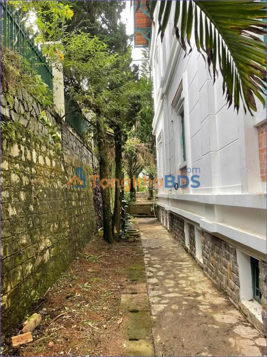 Villa Nguyễn Hữu Cảnh Đà Lạt 1000m² 68 triệu - Ô tô vào sân
