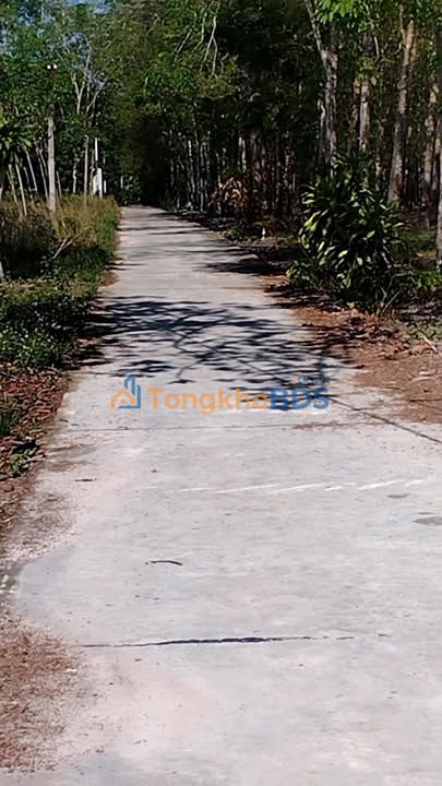 Đất nền Chơn Thành 84m² 1.45 tỷ - Hạ tầng hoàn thiện