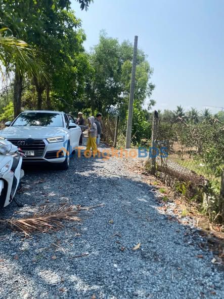 Đất vườn Lương Bình Bến Lức 1.012m² 1.29 tỷ - Sổ hồng rõ ràng