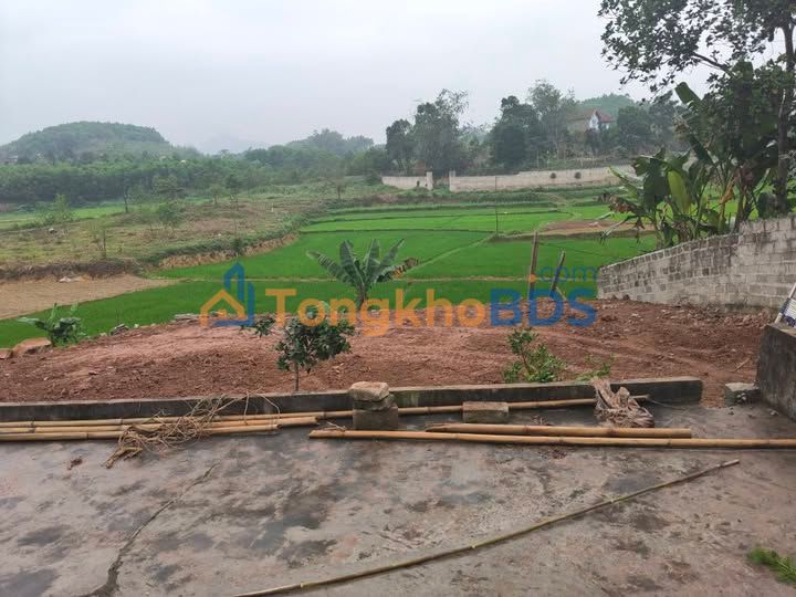 Đất nền Phúc Xuân Thái Nguyên 252m² 9xx triệu - Sổ đỏ chính chủ