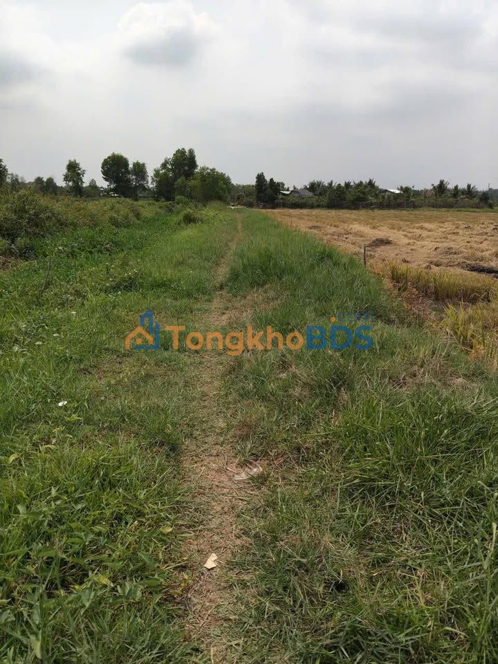 Đất nền Tân Xuân 9.300m² giá 9.114 tỷ - Sổ đỏ chính chủ