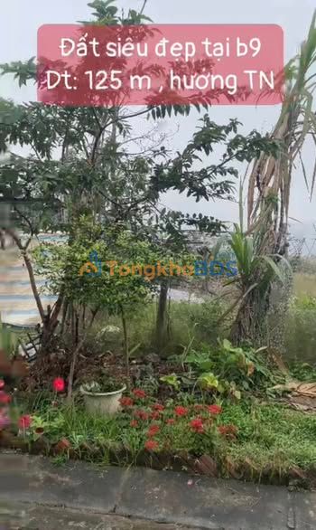 Đất nền Nguyễn Tuân Lào Cai 125m² giá 1.5 tỷ - Sổ đỏ chính chủ