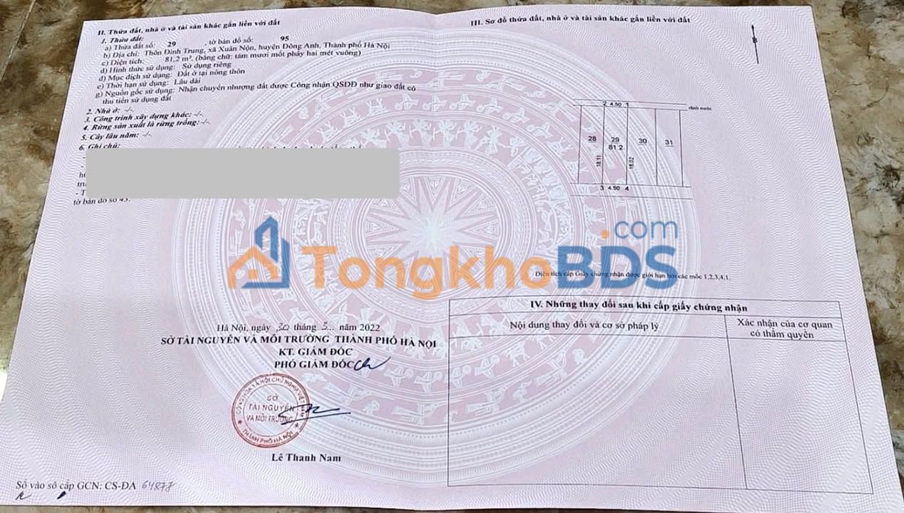 Đất nền Thôn Đình Trung, Thanh Lâm 81m² giá 3.24 tỷ - Sổ đỏ chính chủ