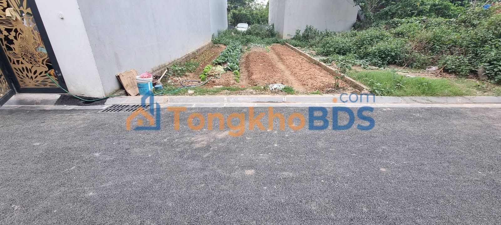 Đất nền Tiên Dương Đông Anh 60m² 5 tỷ - Sổ đỏ chính chủ