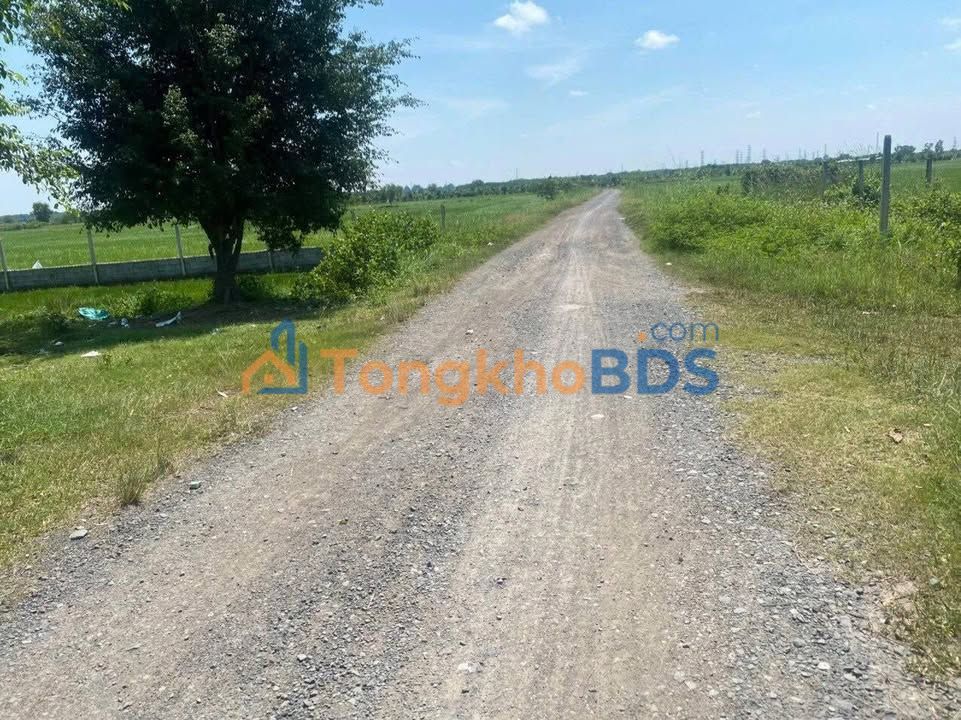 Đất vườn Trung Lập Hạ Củ Chi 500m2 thỏa thuận - Đường ô tô