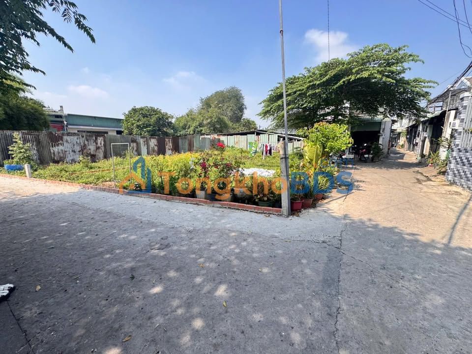 Đất Đông Thạnh Hóc Môn 195m² 4,3 tỷ – Sổ hồng riêng