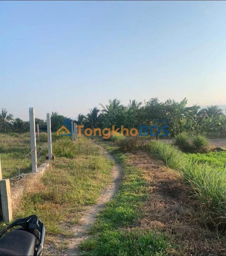 Đất nền Diên Sơn 519m² giá 550 triệu - Sổ đỏ chính chủ