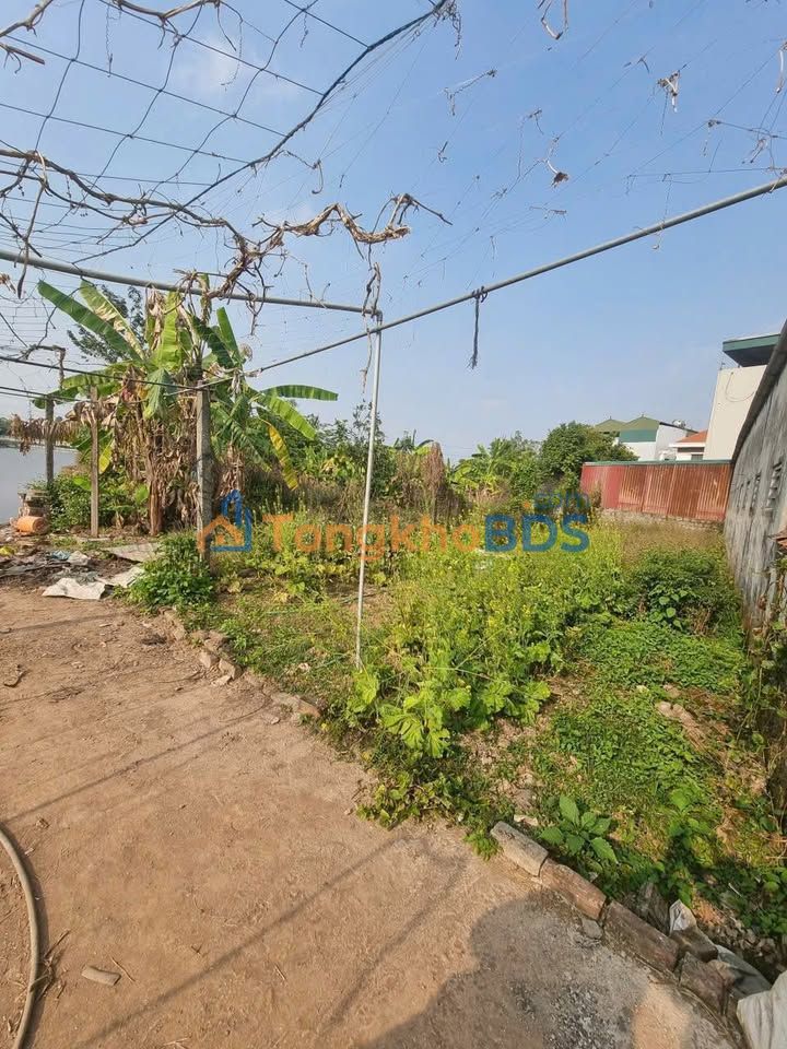 Đất nền Cụm CN Quất Động 80m² thỏa thuận - Đường ô tô