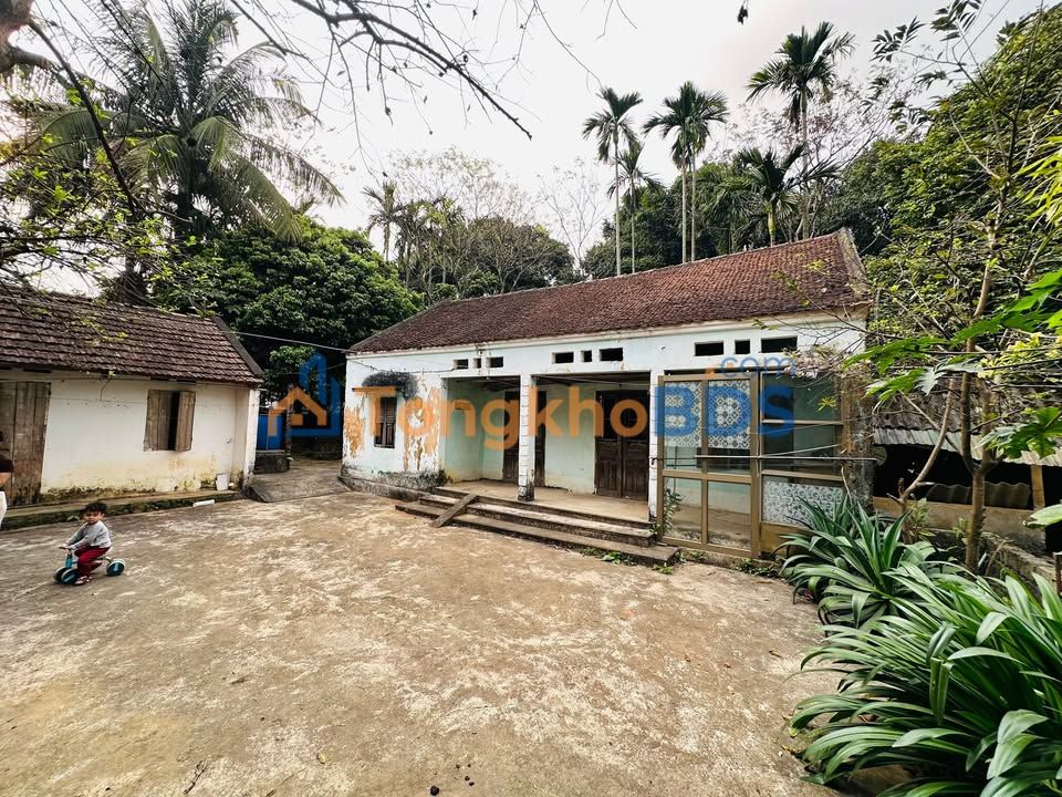 Đất Liên Sơn Hòa Bình 3.328m² thỏa thuận - Sổ đỏ chính chủ