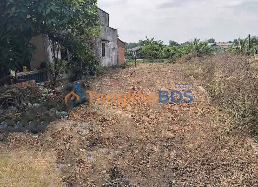 Đất Bình Tịnh Tân Trụ 200m² 1,199 tỷ - Sổ đỏ chính chủ