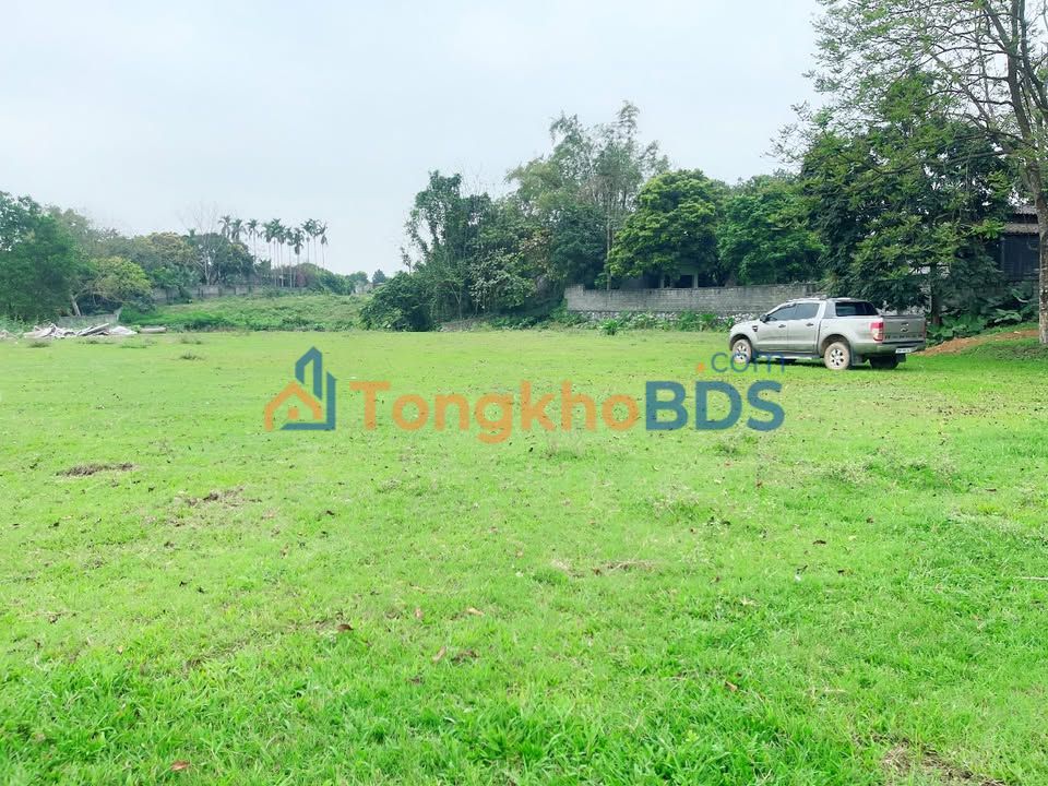 Đất nền Quốc Oai Hà Nội 3.000m² Vành Đai 5 - Đường to ô tô