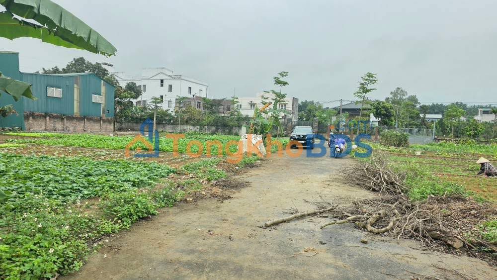 Đất nền Phú Cát Quốc Oai 136m² giá 5 tỷ - Sổ đỏ chính chủ