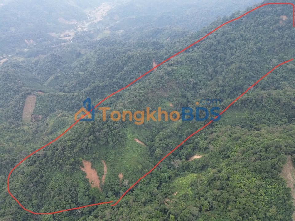 Đất nền Quang Phong 9ha thỏa thuận - Tiềm năng tăng giá