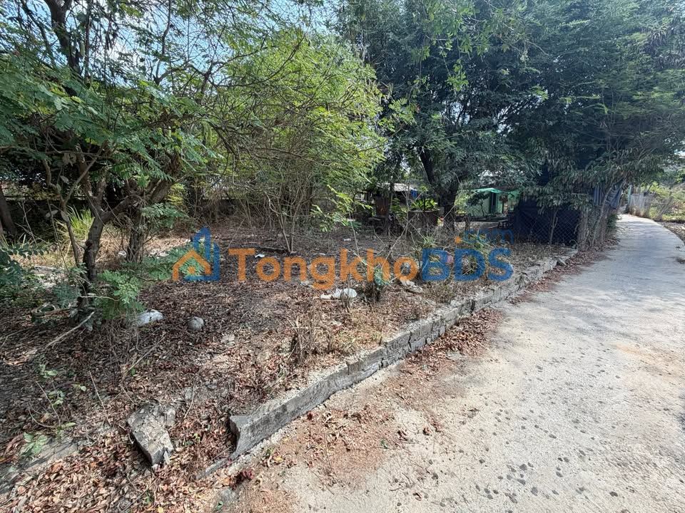 Đất nền Lâm Hà 104m² 480 triệu - Sổ hồng sẵn