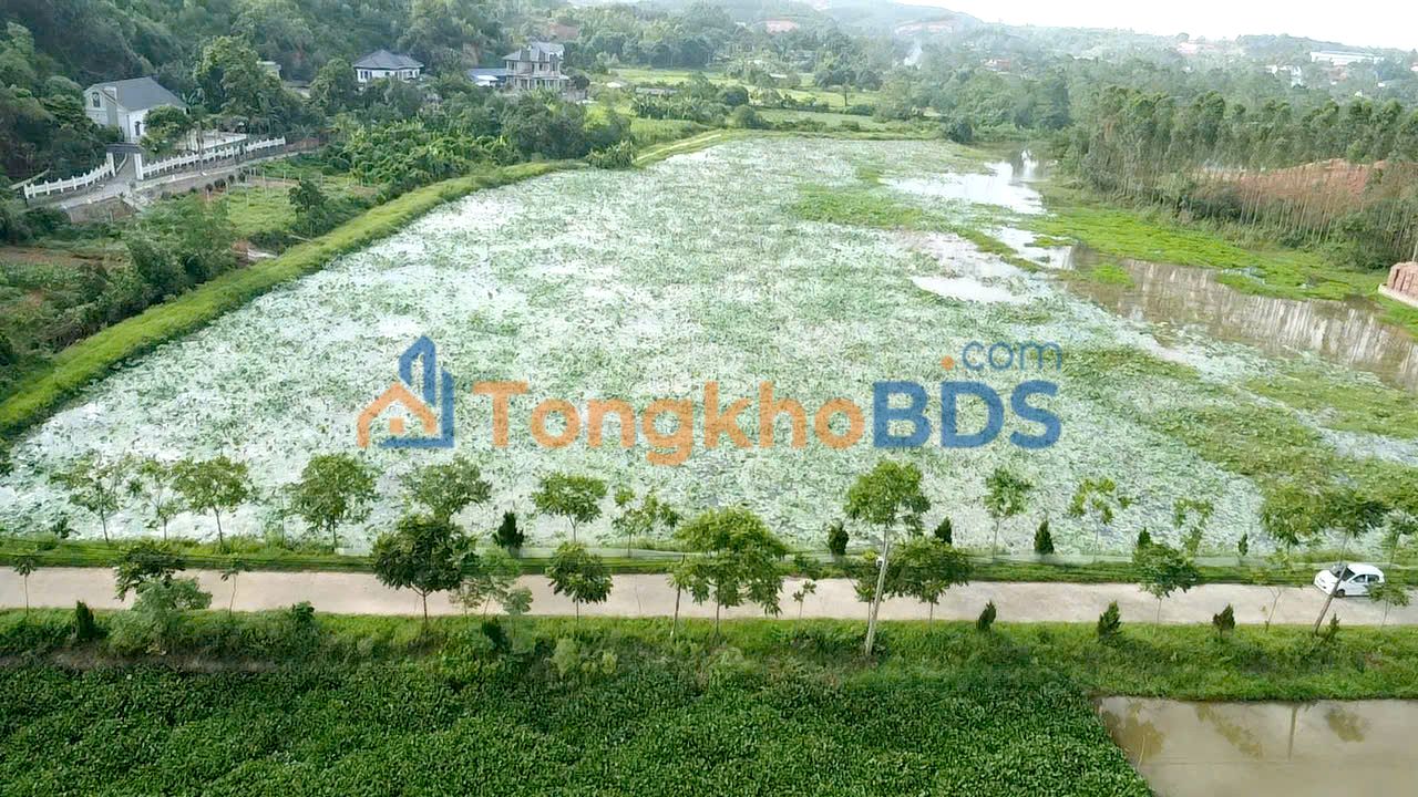 Đất xã Tân Phương Phú Thọ 341m² 2.046 tỷ - Sổ đỏ chính chủ