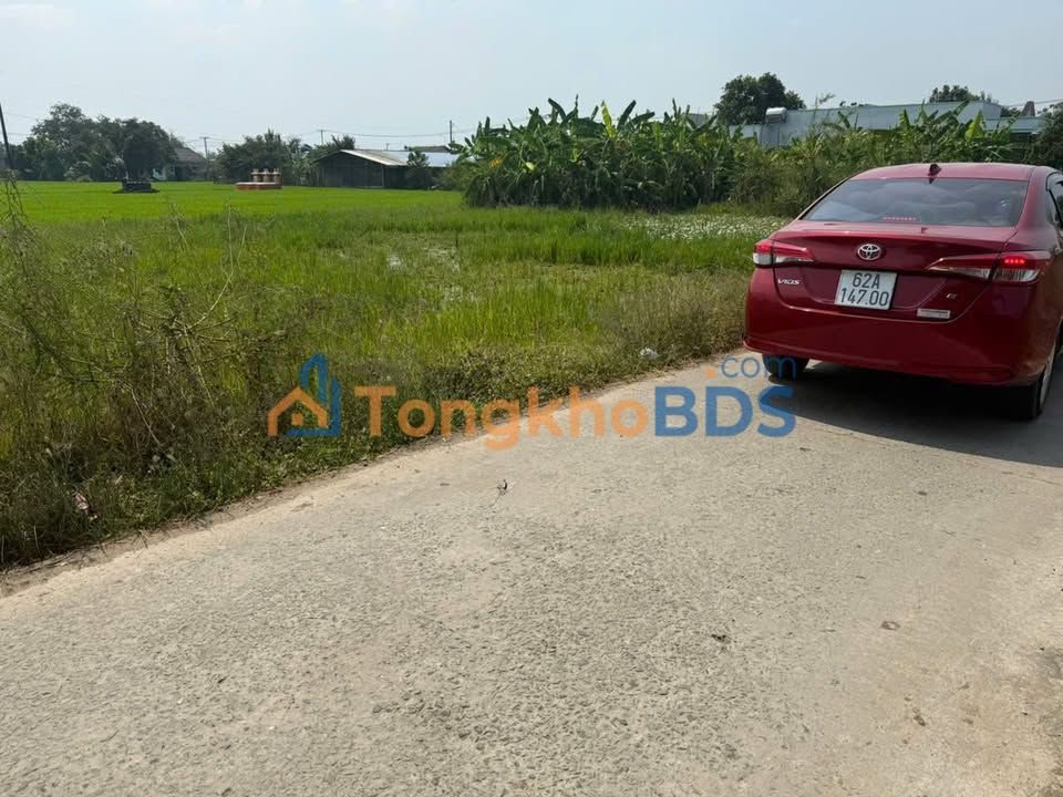 Đất nền Cần Giuộc 105m² 590tr - Giá F0 CĐT