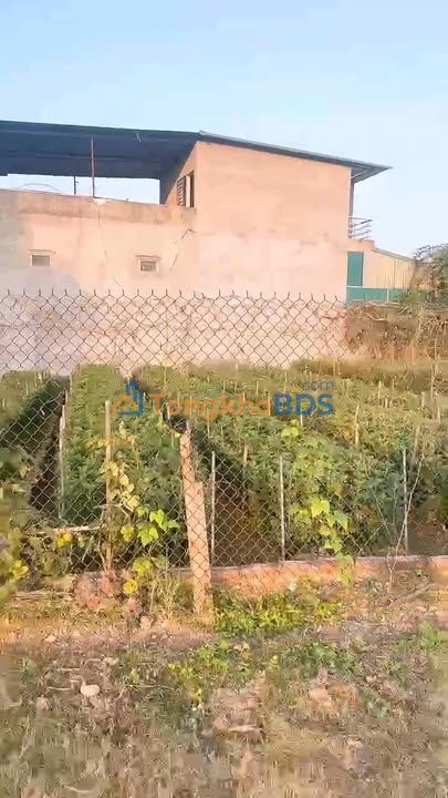 Đất Khu Đồng Đỗi Lâm Thao 173m² 1.73 tỷ - Sổ đỏ chính chủ