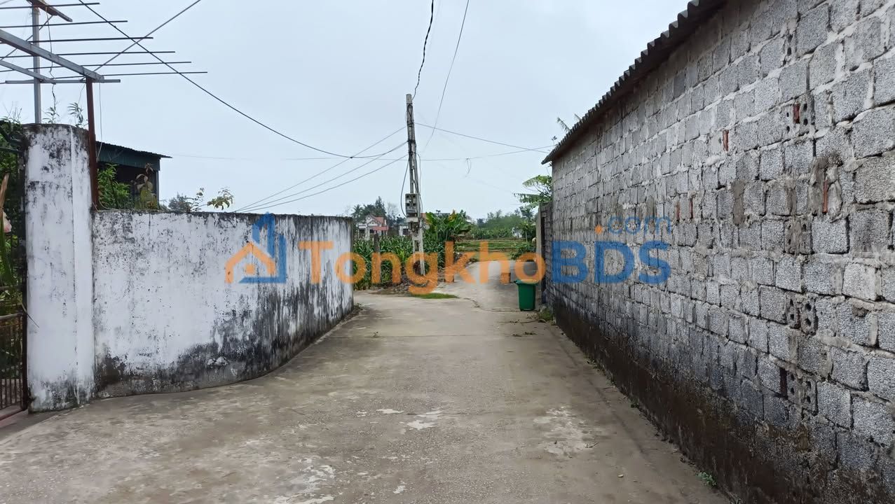 Đất thổ cư 100% Tháng 10 Hoằng Phụ 126m² 700 triệu