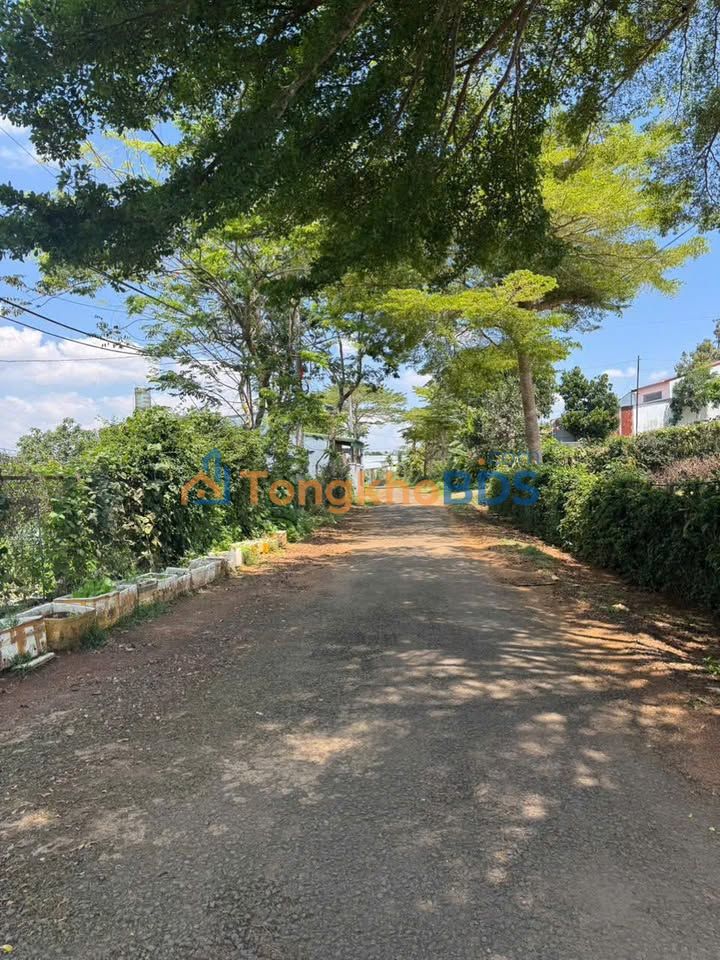 Nhà mặt tiền Phó Đức Chính Bảo Lộc 6x36 - Kinh doanh sầm uất