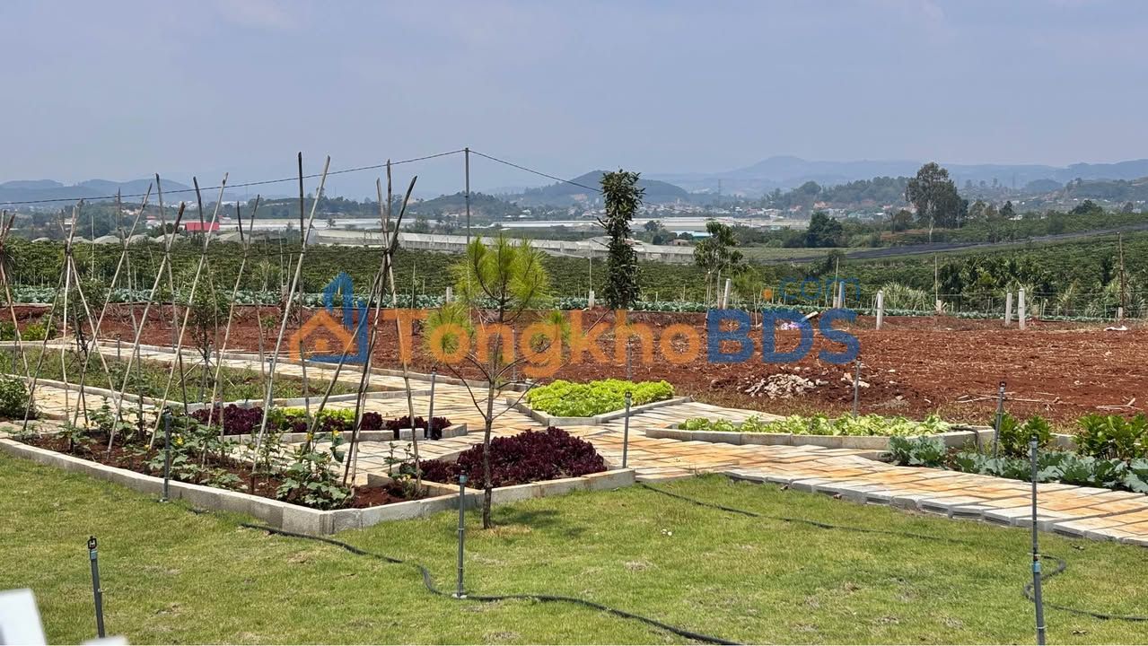 Đất vườn Đinh Văn 247m² 790 triệu - Đầu tư dài hạn