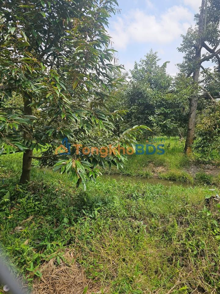 Đất mặt tiền Thanh Hòa 912m² 2.88 tỷ - Đường to ô tô