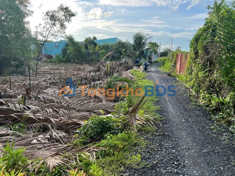 Đất vườn Tân Chánh 1.653m² giá 2,2 tỷ - Nghỉ dưỡng sân vườn thanh bình