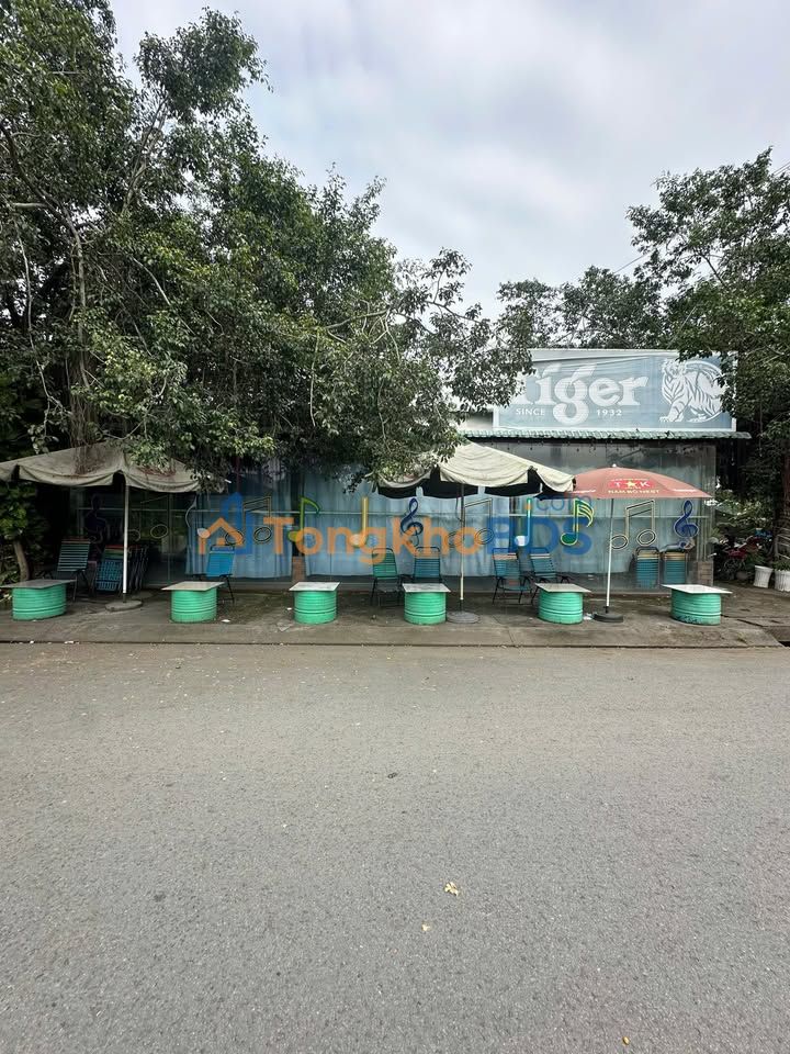 Đất Thuận Đạo Bến Lức 177m² 8.9 tỷ - Thổ cư 100% xây tự do