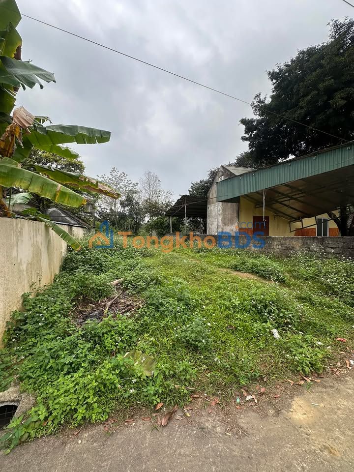 Đất nền Hàng Trạm Hòa Bình 498m² 2 tỷ - Đường to ô tô