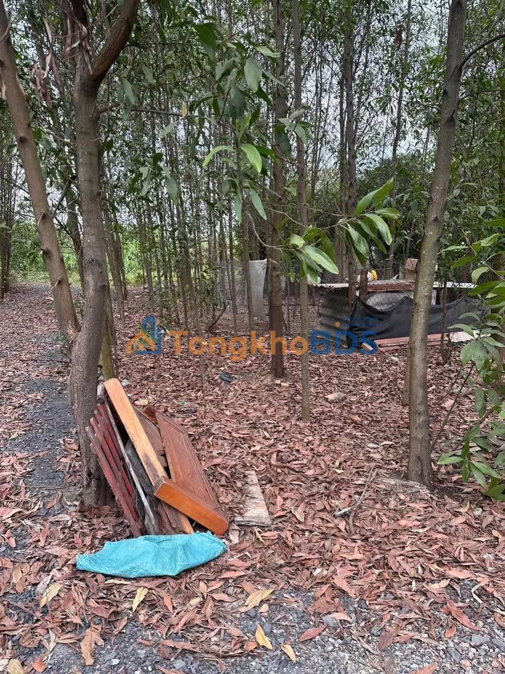 Đất nền Long Đức 75m² 450 triệu - Sổ đỏ chính chủ