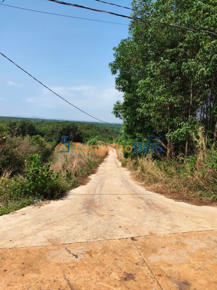 Đất nền Suối Cao Xuân Lộc 1000m² 550tr - Tiềm năng tăng giá